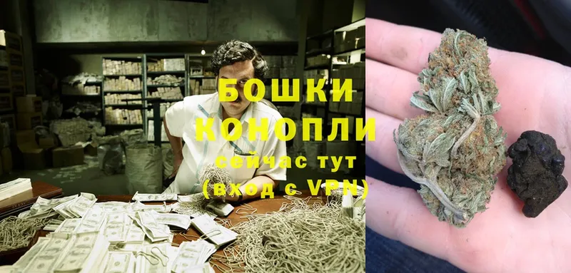 наркота  Волгореченск  Шишки марихуана THC 21% 